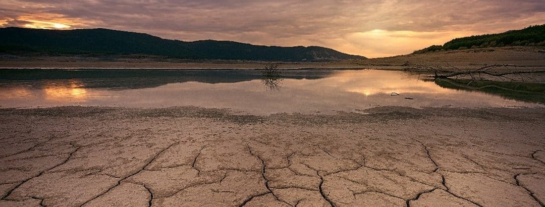 ¿Cómo estamos haciendo frente a la escasez de agua?